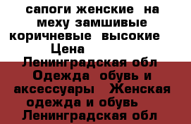 сапоги женские, на меху.замшивые.коричневые, высокие. › Цена ­ 2 900 - Ленинградская обл. Одежда, обувь и аксессуары » Женская одежда и обувь   . Ленинградская обл.